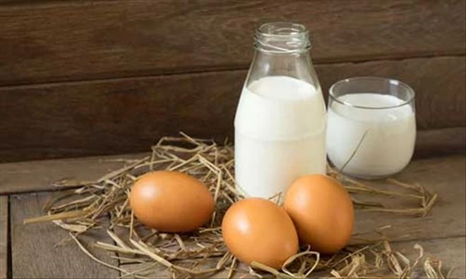 TÜİK, Kümes hayvancılığı ve süt üretimine ait istatiki bilgileri açıkladı