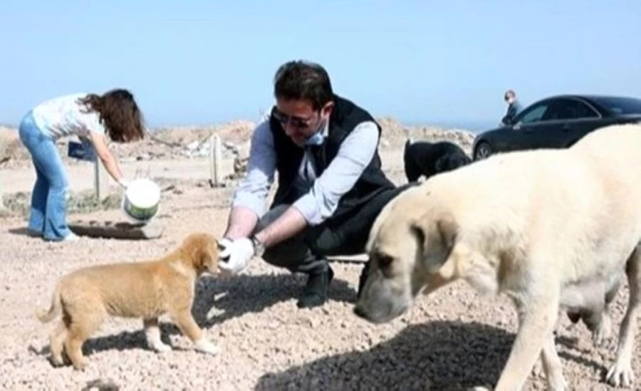 Bandırma Belediyesi hayvan barınağı alanını büyüttü 