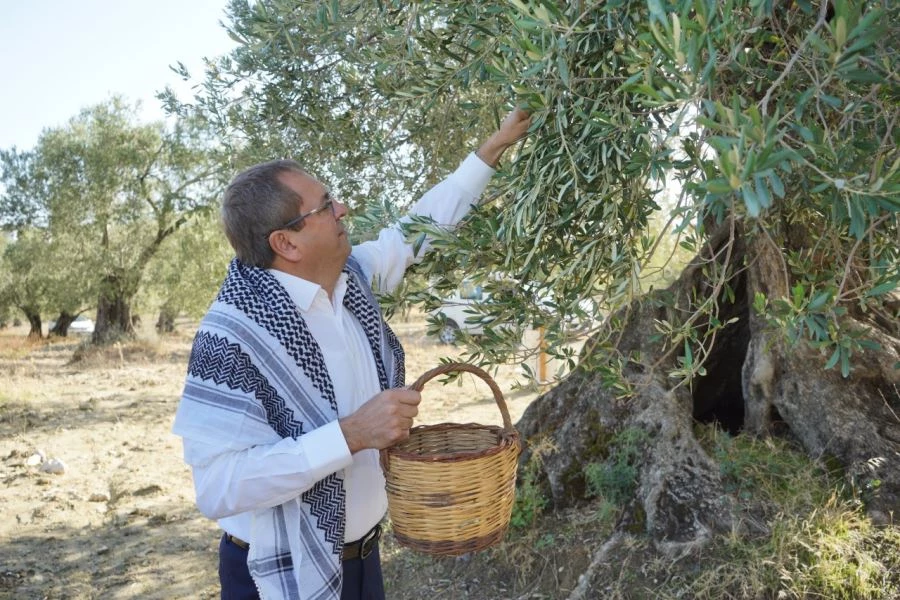 Başkan Ergin, Dünya Zeytin Ağacı Günü’nü unutmadı 