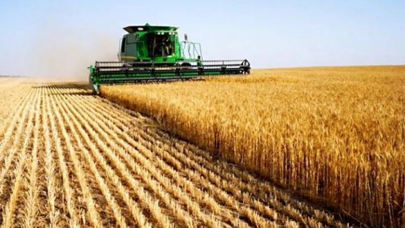 Tarım-ÜFE yıllık ve aylık arttı 