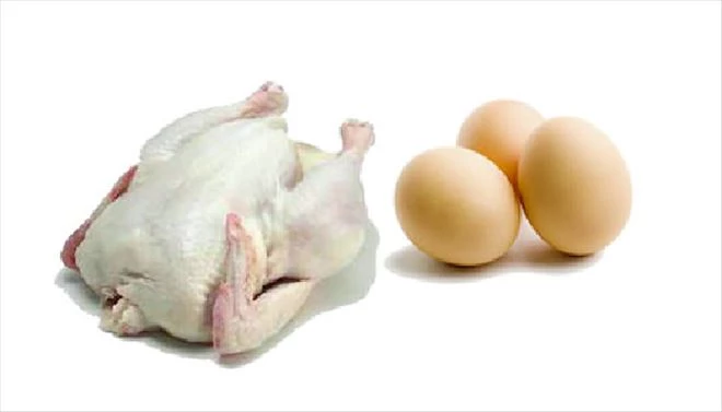 TÜİK tavuk et ve yumurta üretimini açıkladı 