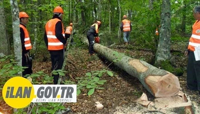Orman emvali boylama ve mesaha çalışmalarının takibi, kontrolü, tekniğine uygun yapılmasını sağlamak üzere hizmet alınacaktır